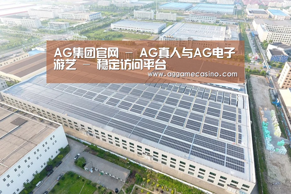 案例展示一
