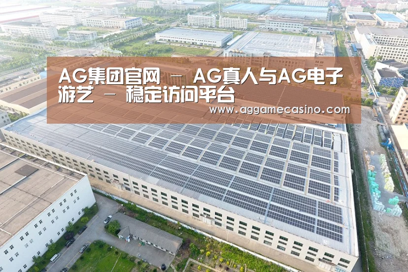 案例展示二