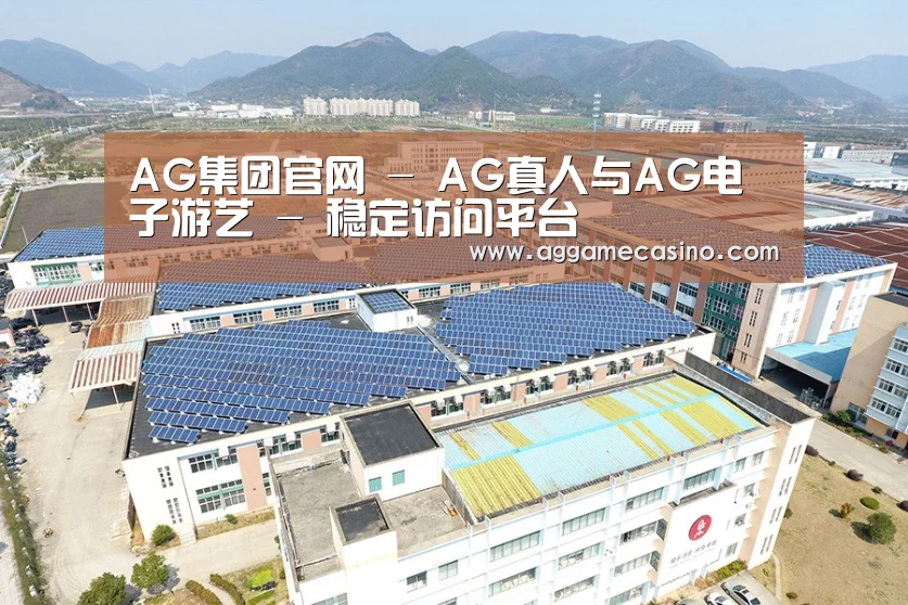 案例展示一