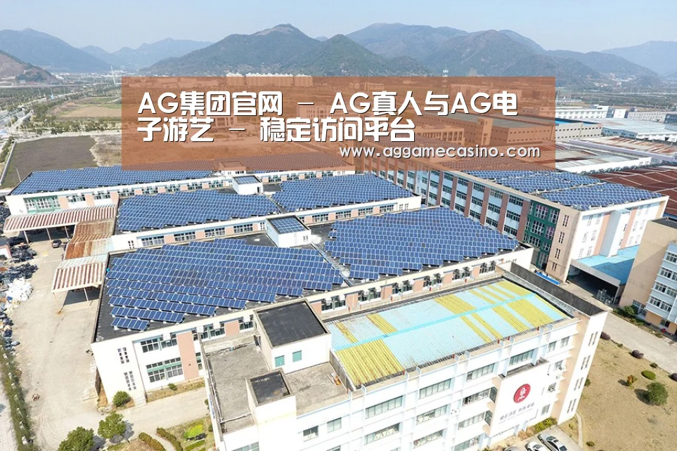案例展示四