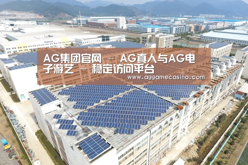 案例展示二