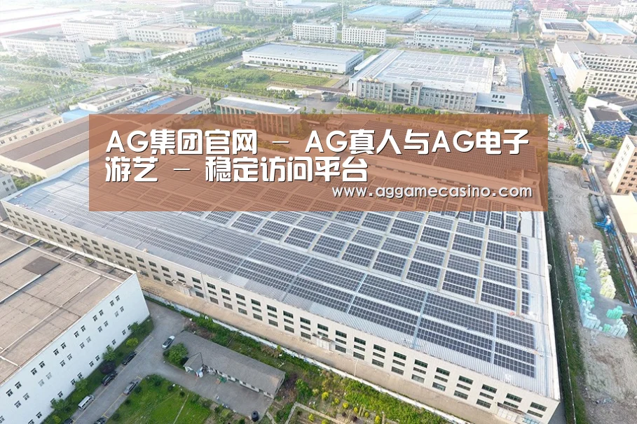 案例展示二
