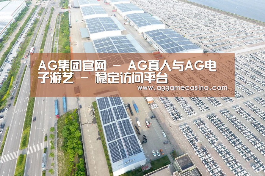 案例展示一