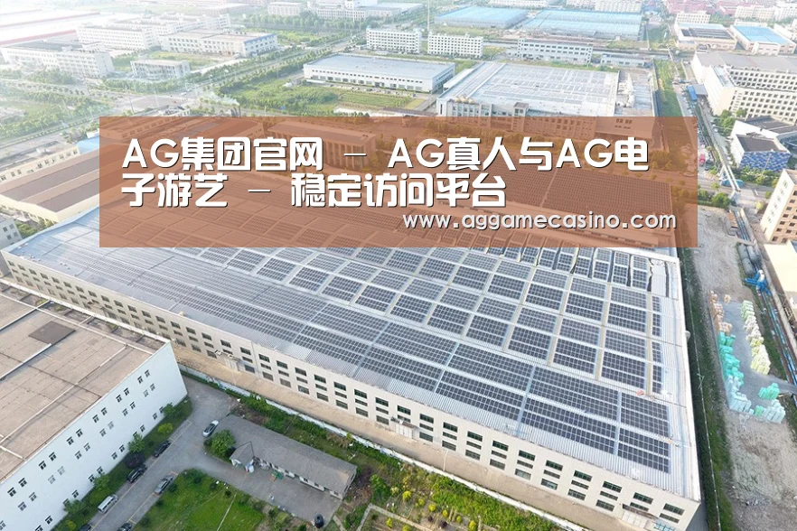 案例展示三