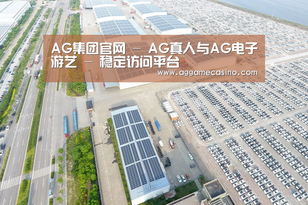 案例展示一