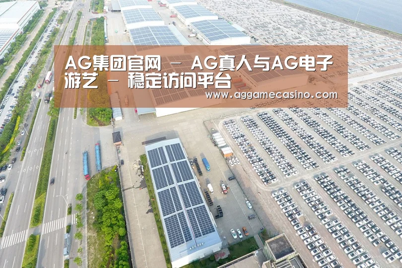 案例展示四