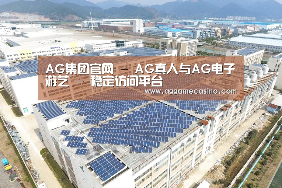案例展示四