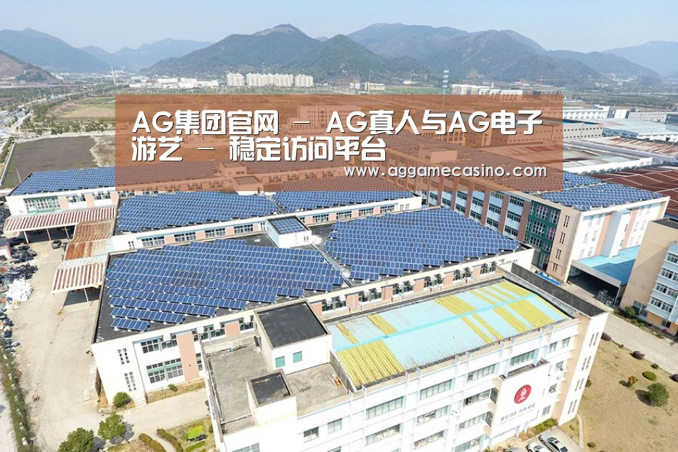 案例展示三