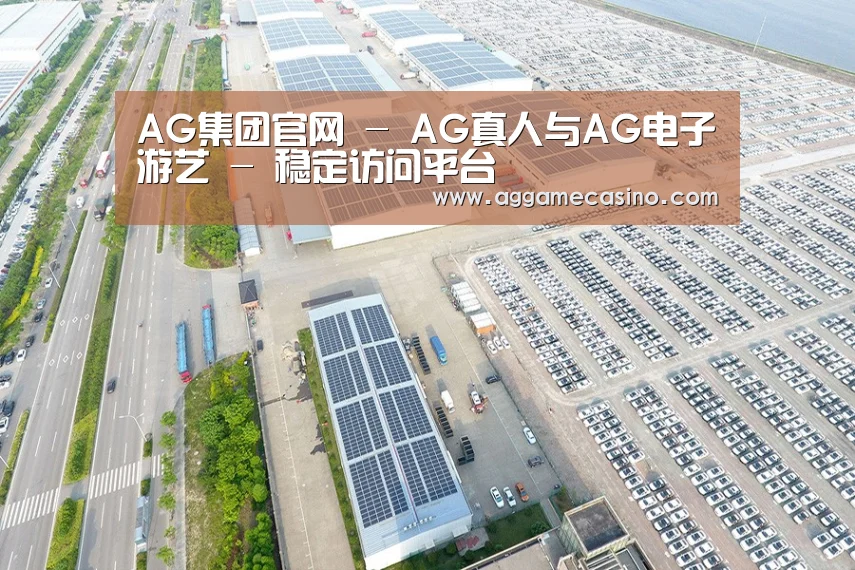 案例展示三