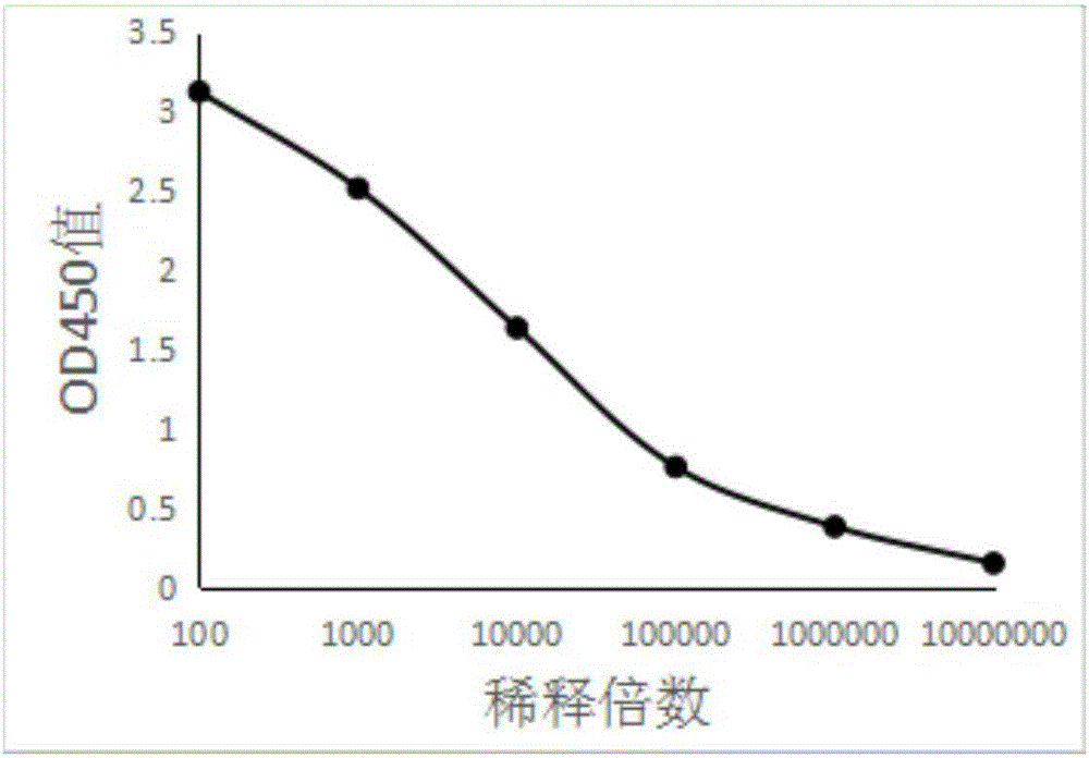 AG游艺