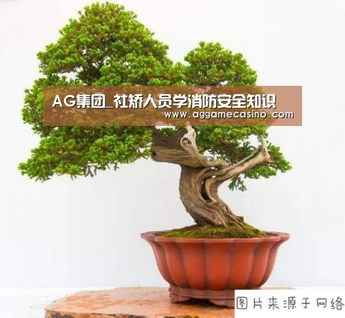 AG集团_社矫人员学消防安全知识(图3) AG游艺