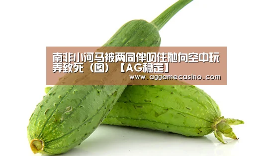 南非小河马被两同伴叼住抛向空中玩弄致死(图)【AG稳定】(图2) AG游艺
